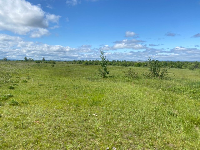 2000 м², земельные участки, продаю 2