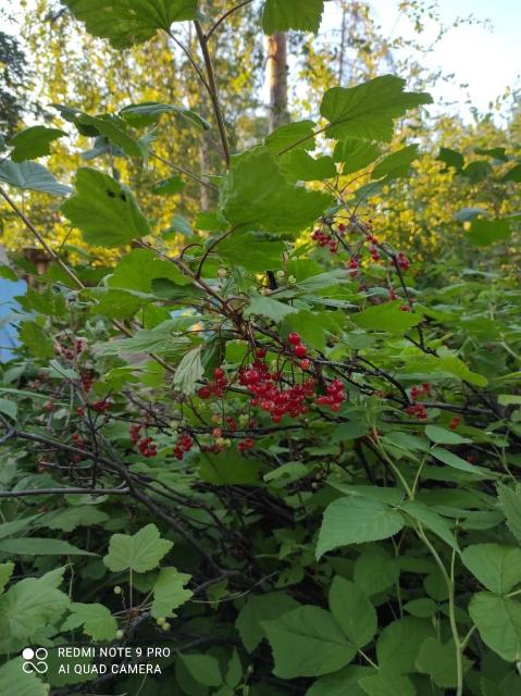 1900 м², земельные участки, продаю 6