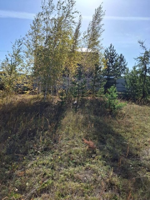 1000 м², земельные участки, продаю 13