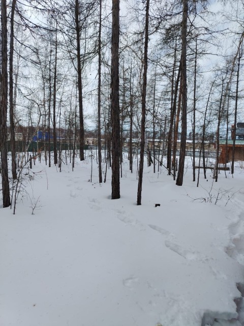 1500 м², земельные участки, продаю 7