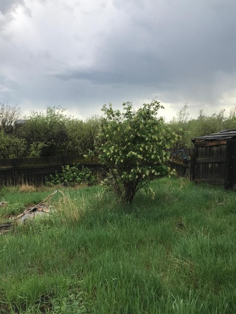 1200 м², земельные участки, продаю 5