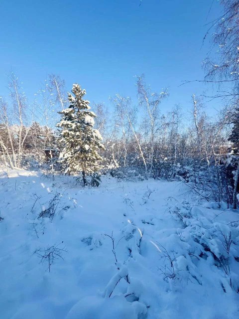 1540 м², земельные участки, продаю 5