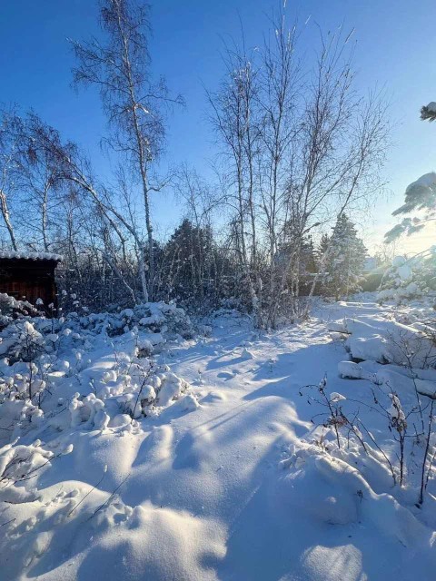 1540 м², земельные участки, продаю 6