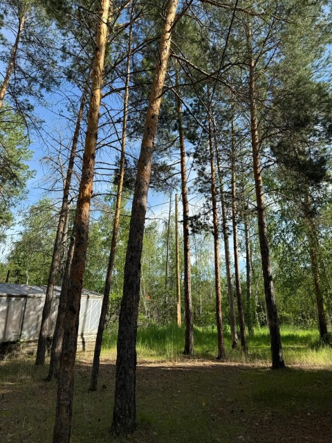 1500 м², земельные участки, продаю 2