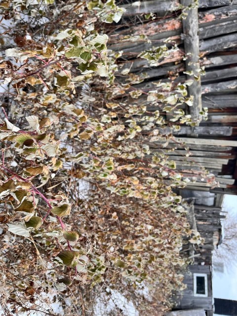 660 м², земельные участки, продаю 5