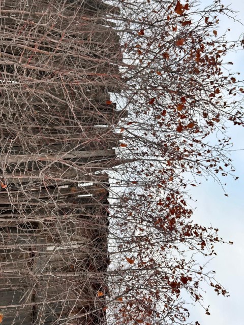 660 м², земельные участки, продаю 7