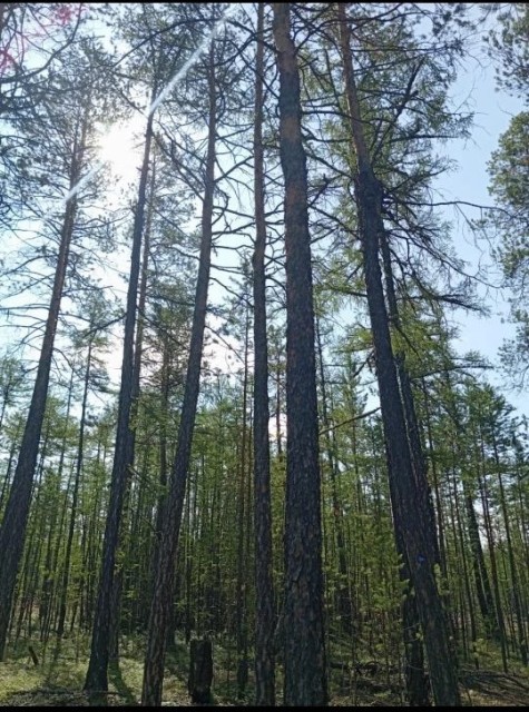 770 м², земельные участки, продаю