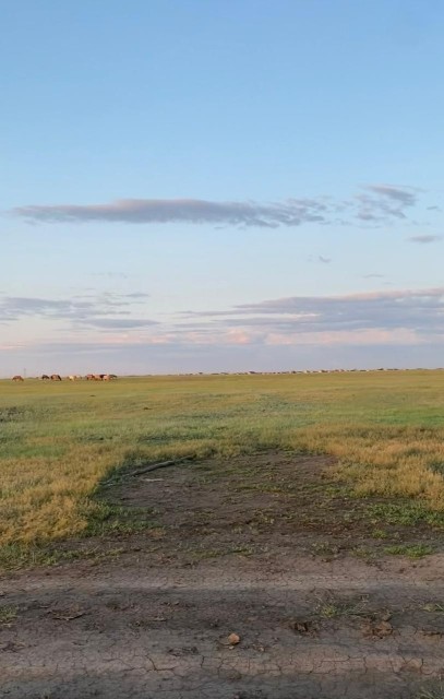 2000 м², земельные участки, продаю 5