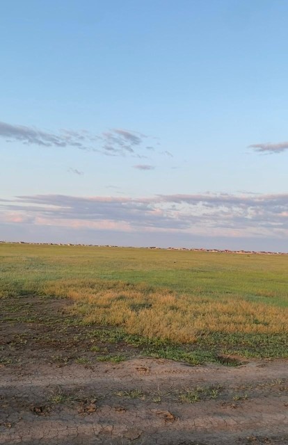 2000 м², земельные участки, продаю 4