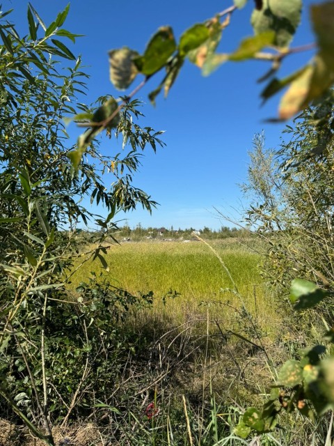 1000 м², земельные участки, продаю 3