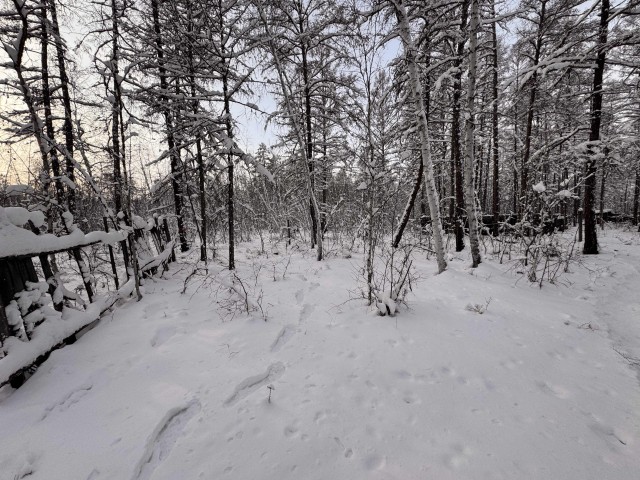 1000 м², земельные участки, продаю