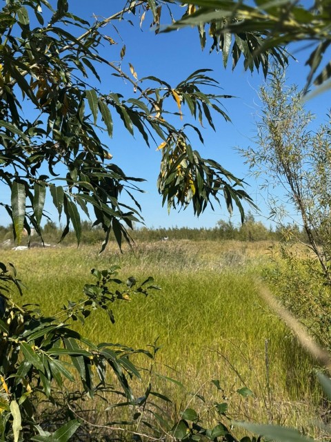 1000 м², земельные участки, продаю