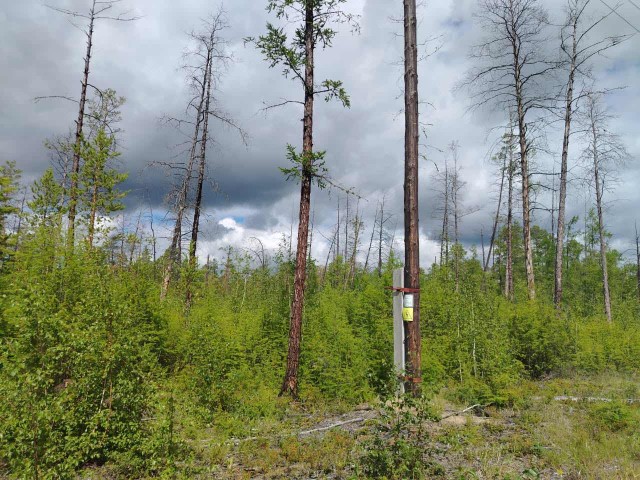 12 м², земельные участки, продаю 3