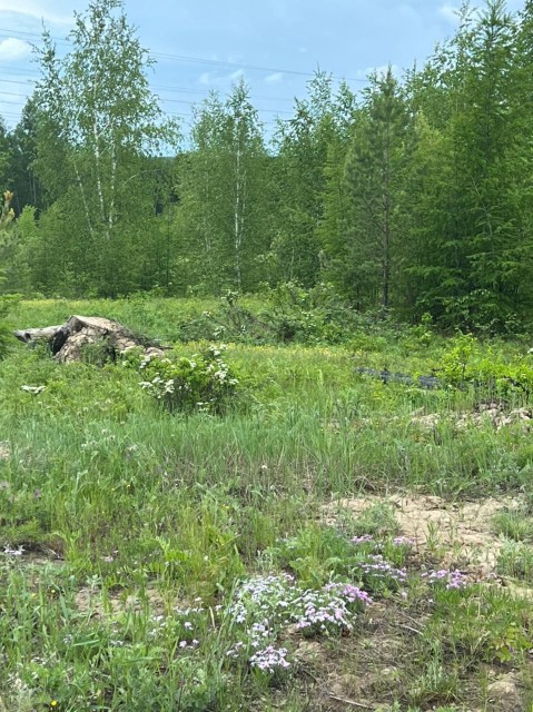 1000 м², земельные участки, продаю