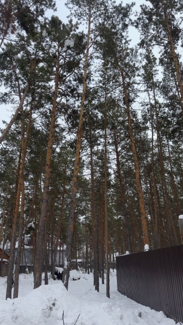 1000 м², земельные участки, продаю