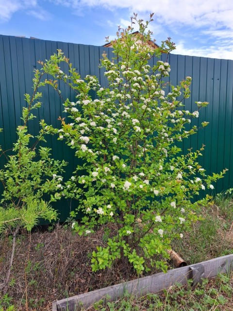 16000 м², земельные участки, продаю 2