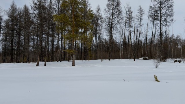 1000 м², земельные участки, продаю 6