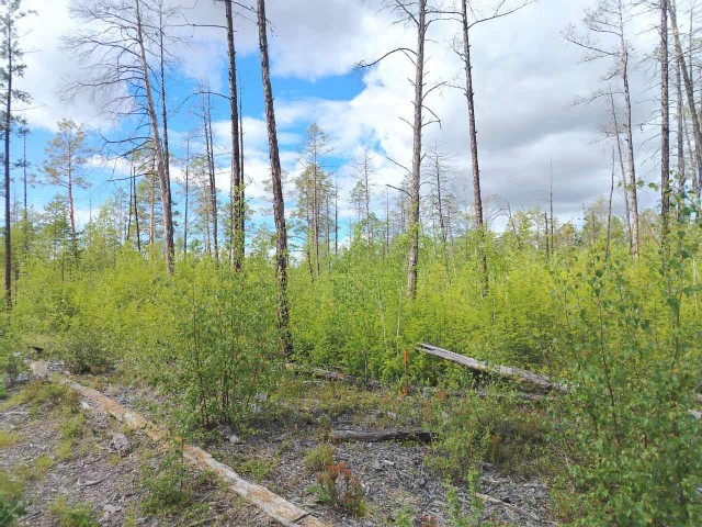 12 м², земельные участки, продаю 4