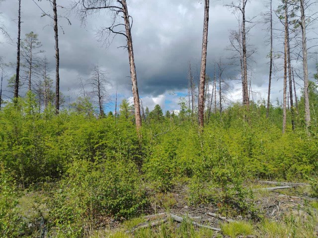 12 м², земельные участки, продаю 6