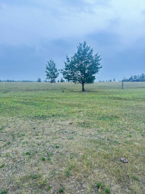 1200 м², земельные участки, продаю 5