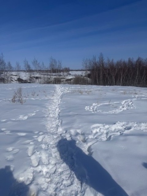 Земельные участки, продаю 5