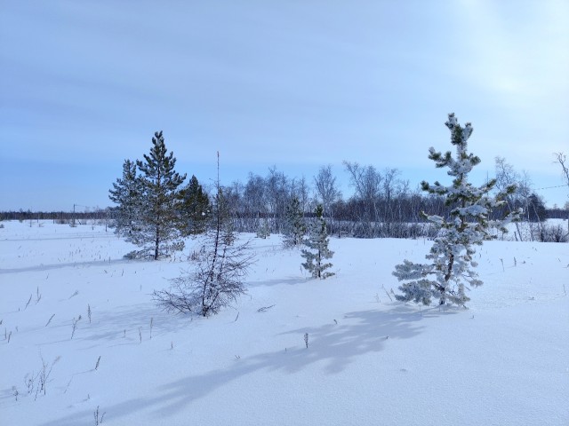 14764 м², земельные участки, продаю 3