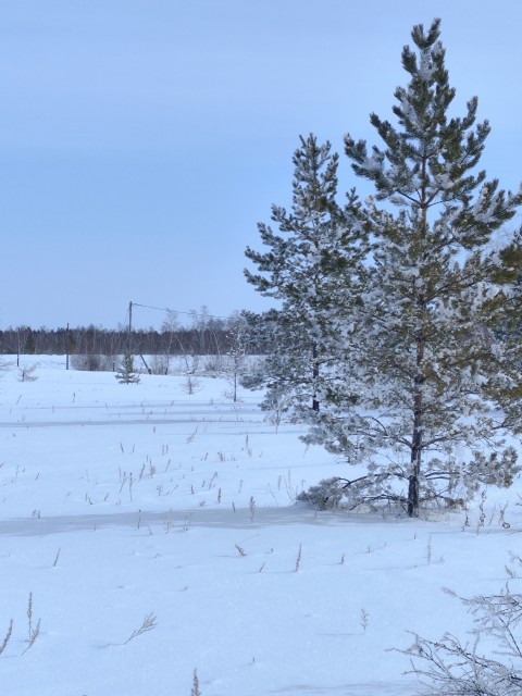 14764 м², земельные участки, продаю 2