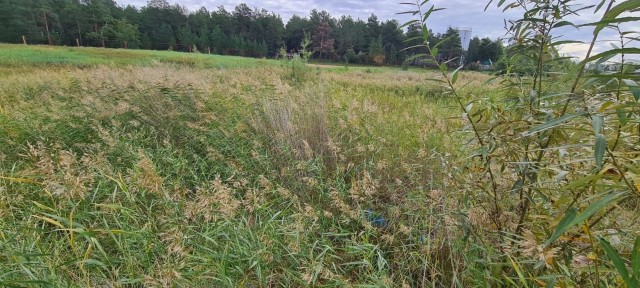 1084 м², земельные участки, продаю 3