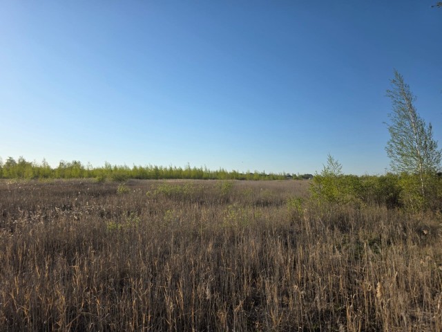 1367 м², земельные участки, продаю