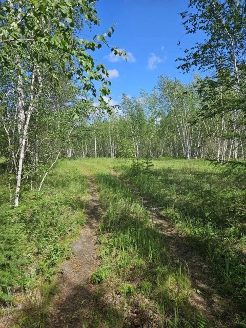 854 м², земельные участки, продаю