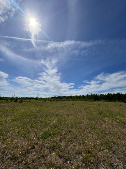 1000 м², земельные участки, продаю