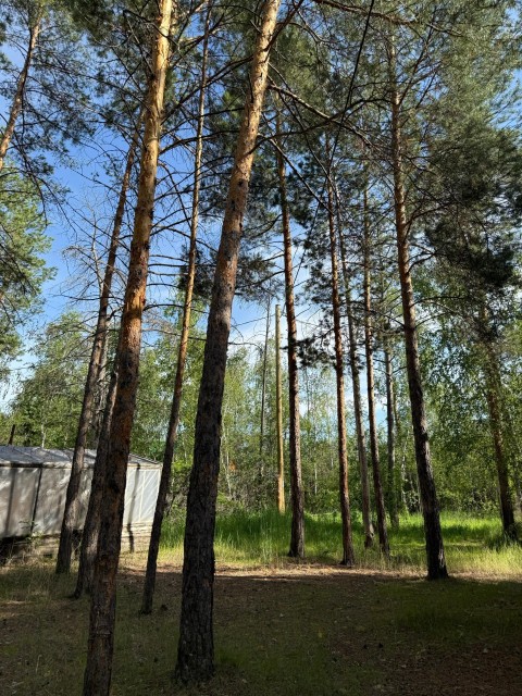 1060 м², земельные участки, продаю 4