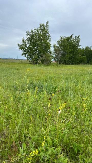 800 м², земельные участки, продаю 6