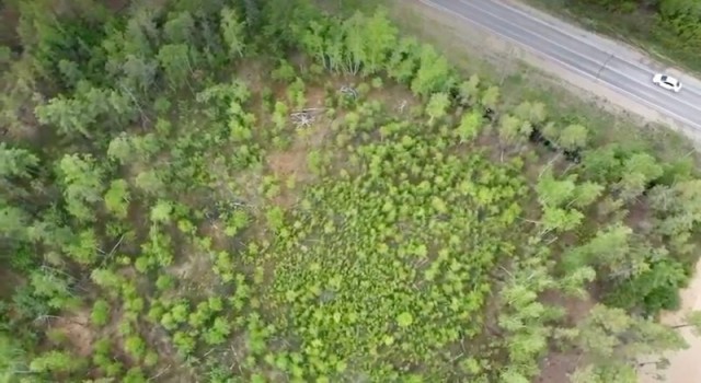 3000 м², земельные участки, продаю 5