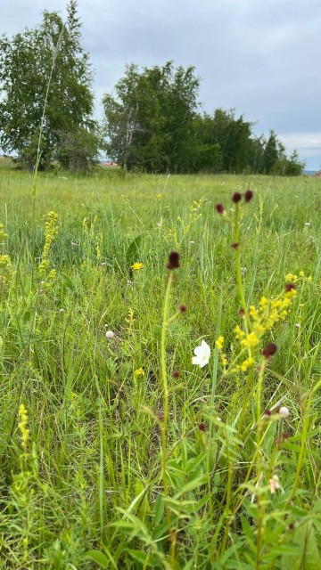 800 м², земельные участки, продаю 5