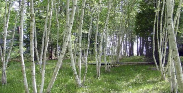 10 м², земельные участки, продаю