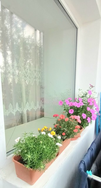 2 комн., Блочный, Жатай 10