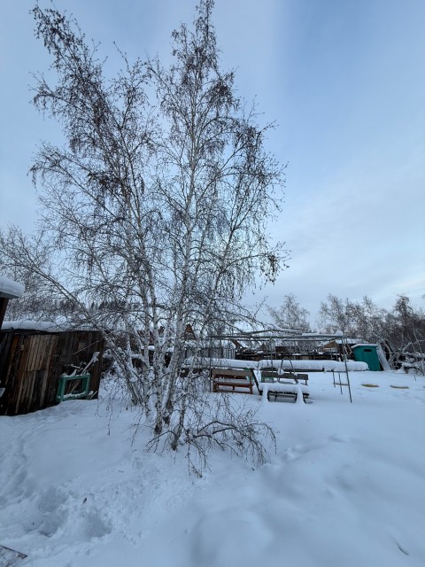 917 м², земельные участки, продаю 10