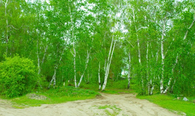 1513 м², земельные участки, продаю 14