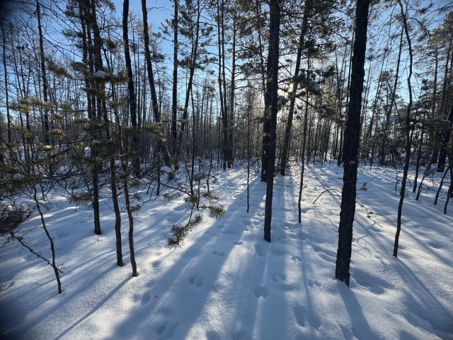 1200 м², земельные участки, продаю 5