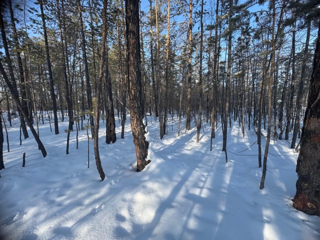 1200 м², земельные участки, продаю 4