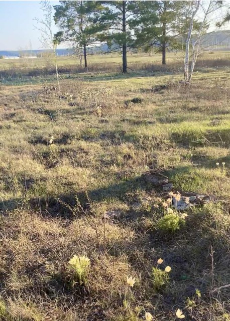 1013 м², земельные участки, продаю 2