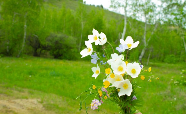 1513 м², земельные участки, продаю 12