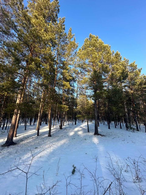 1000 м², земельные участки, продаю