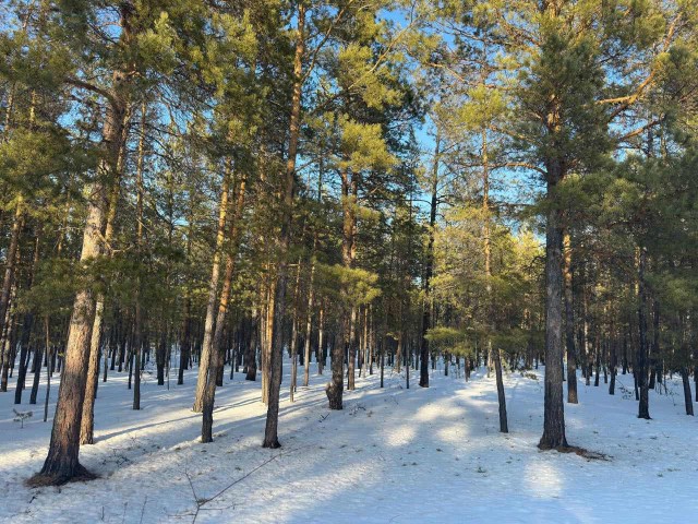 1000 м², земельные участки, продаю 2