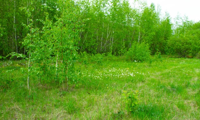 1513 м², земельные участки, продаю 13