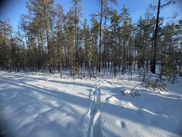 1200 м², земельные участки, продаю 7