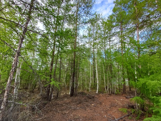 Участок, 800.0 м²
