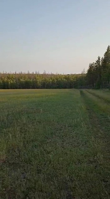 Участок, 2026460.0 м²