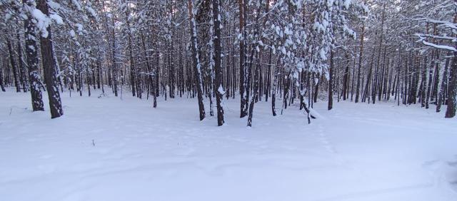 Фото квартиры 3